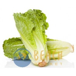 Romaine Lettuce