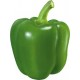 Green Pepper